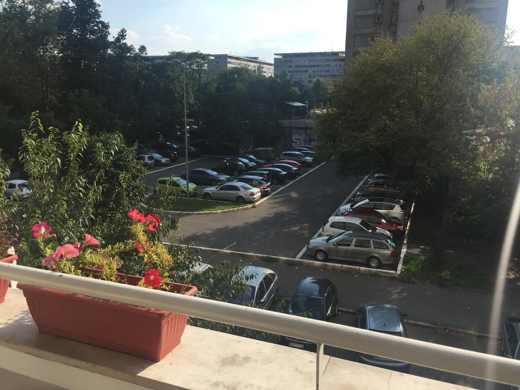 בלגרד Lovely Apartment מראה חיצוני תמונה